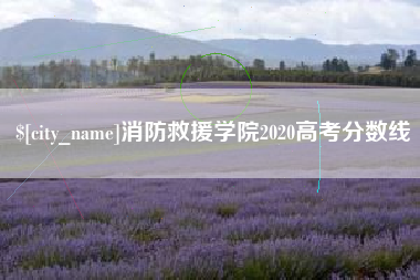广西消防救援学院2020高考分数线