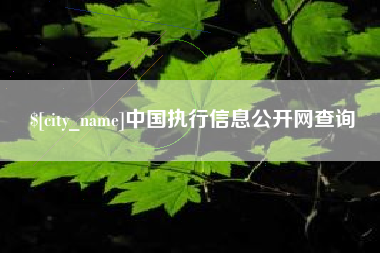 广西中国执行信息公开网查询