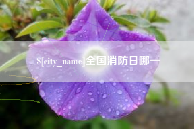 广西全国消防日哪一