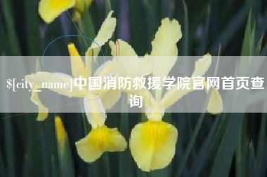 广西中国消防救援学院官网首页查询