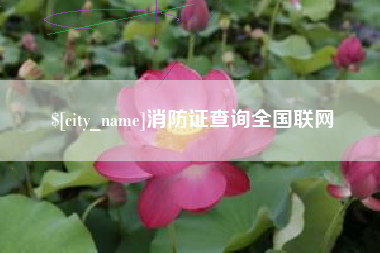 广西消防证查询全国联网