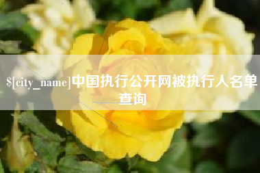广西中国执行公开网被执行人名单查询