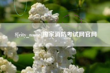 广西国家消防考试网官网