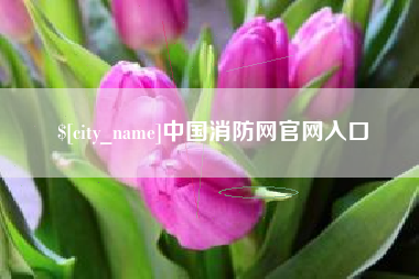 广西中国消防网官网入口