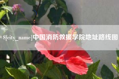 广西中国消防救援学院地址路线图