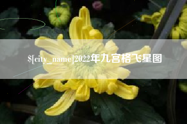 广西2022年九宫格飞星图