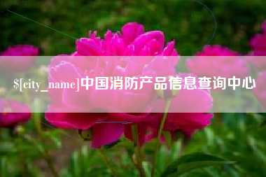 广西中国消防产品信息查询中心