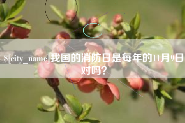 广西我国的消防日是每年的11月9日对吗？