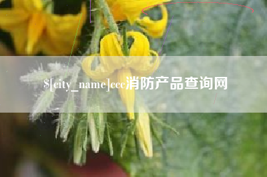 广西ccc消防产品查询网
