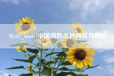 广西中国消防器材网官方网站