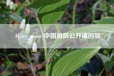 广西中国消防公开课回放