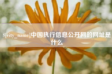 广西中国执行信息公开网的网址是什么