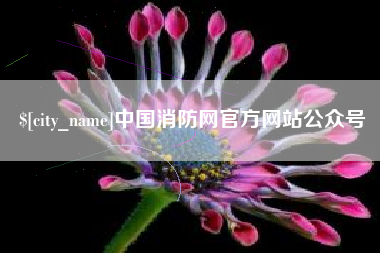 广西中国消防网官方网站公众号