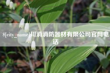 广西川消消防器材有限公司官网电话