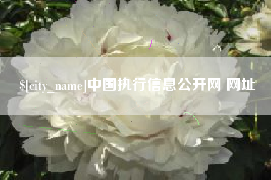 广西中国执行信息公开网 网址