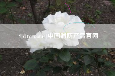 广西中国消防产品官网