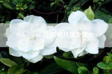 广西中国的几块金牌2021