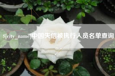 广西中国失信被执行人员名单查询
