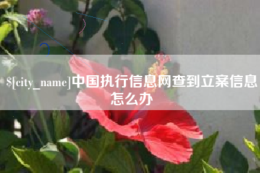 广西中国执行信息网查到立案信息怎么办