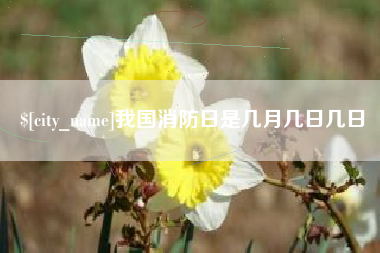 广西我国消防日是几月几日几日