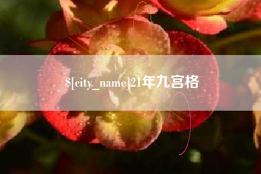 广西21年九宫格