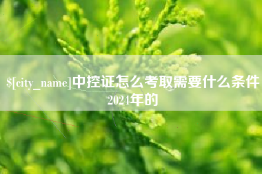 广西中控证怎么考取需要什么条件2024年的