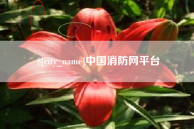 广西中国消防网平台