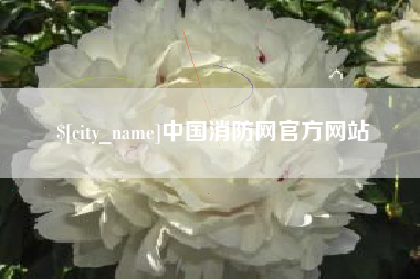 广西中国消防网官方网站