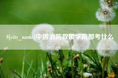 广西中国消防救援学院都考什么