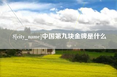 广西中国第九块金牌是什么