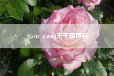 广西王子豪百科