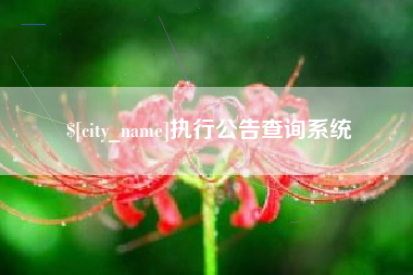 广西执行公告查询系统
