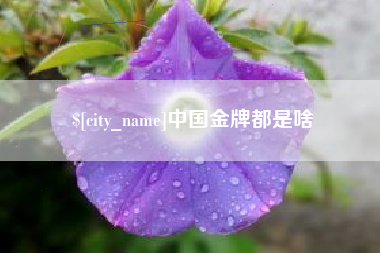 广西中国金牌都是啥