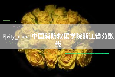 广西中国消防救援学院浙江省分数线