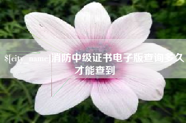 广西消防中级证书电子版查询多久才能查到