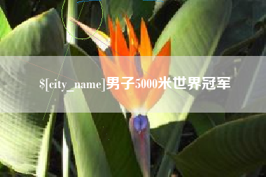 广西男子5000米世界冠军