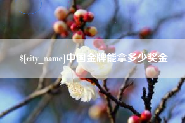 广西中国金牌能拿多少奖金