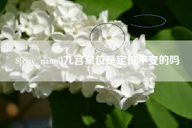 广西九宫星位是定位不变的吗