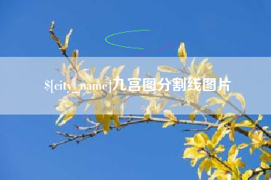 广西九宫图分割线图片