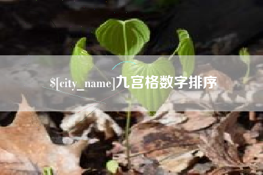 广西九宫格数字排序