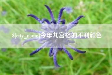广西今年九宫格的不利颜色