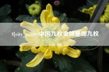 广西中国九枚金牌是哪九枚