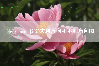广西2025大利方向和不利方向图