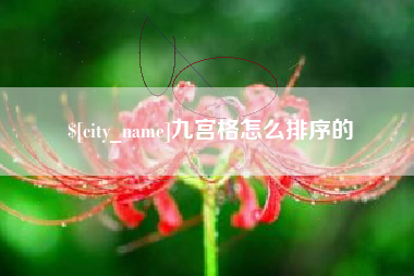 广西九宫格怎么排序的