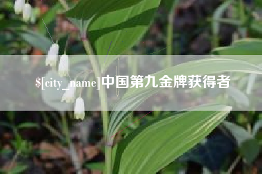 广西中国第九金牌获得者