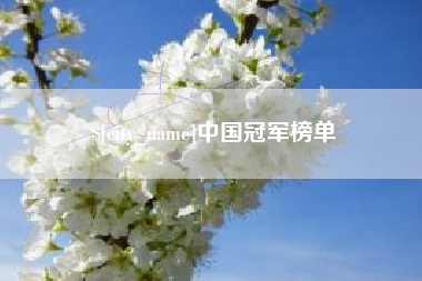 广西中国冠军榜单