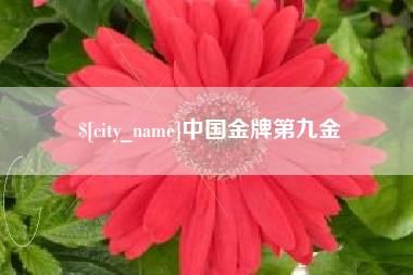 广西中国金牌第九金