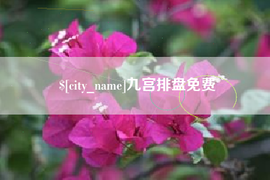 广西九宫排盘免费
