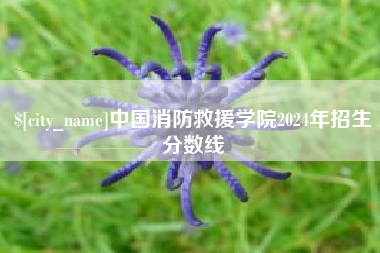 广西中国消防救援学院2024年招生分数线
