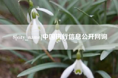 广西中国执行信息公开网询